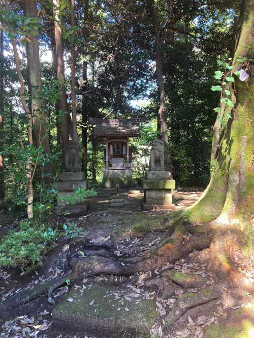 青梅の住吉神社の写真４枚目です