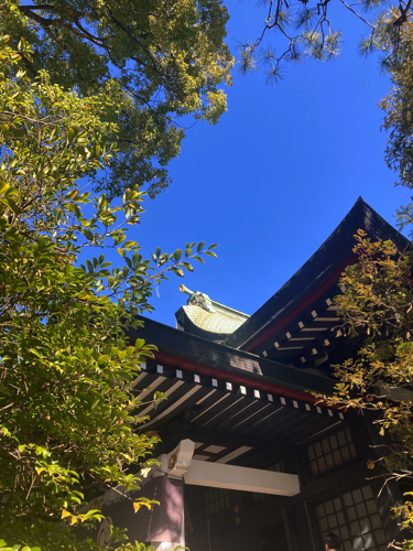 初詣でに参拝した神社の写真です